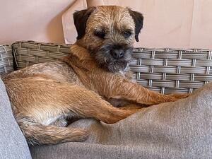 Albert chilling