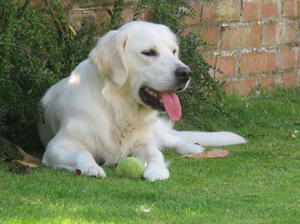 Lexi relaxing
