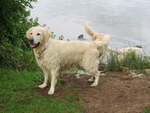 One of our caravan holidays with the girls
