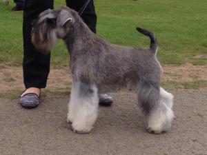 Sulley at a show