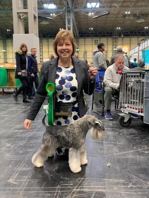 Crufts 2022 best veteran in breed