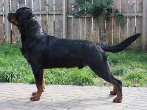 Kyzer Aug 2011