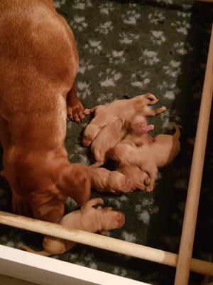 Happy mum