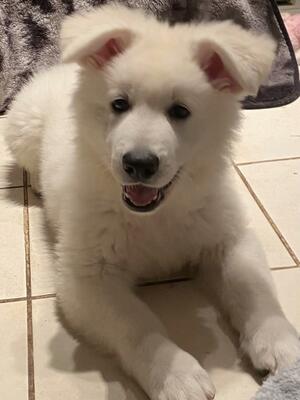Girl available