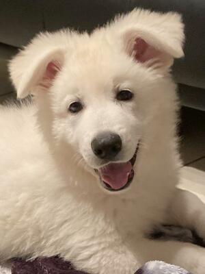 Girl available