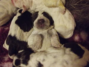 Here's lookin at you kid!