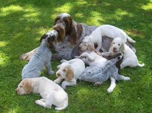 We suspect this is a classroom