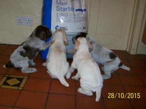 THERE MUST BE A WAY!