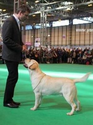 Dad at Crufts