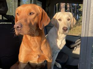 Cooper and his son Fergus