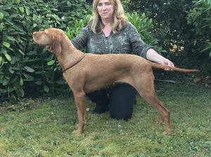 Meeting Breed Standard