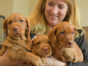 Pepsi’s previous litter
