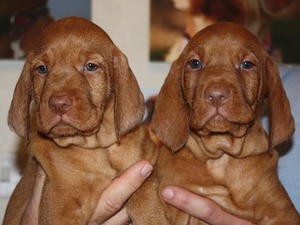 Sister & Brother