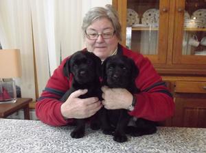 Two black bitches