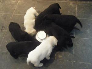 Feed time