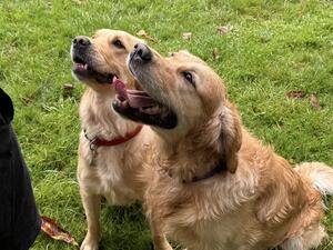 Molly & Duke