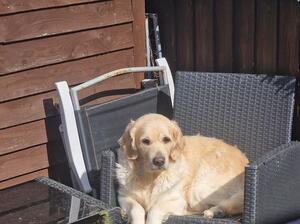 Mum lexi