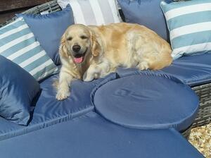 Mum lexi