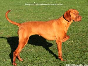 Roux