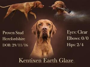 Kentixen Earth Glaze