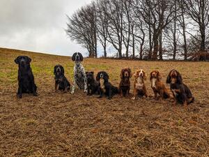 The pack