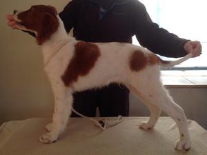 Hugo Left side