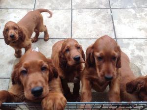 Can we come in now?