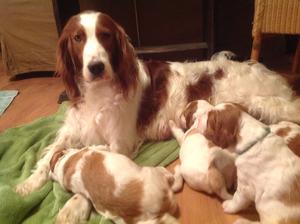 Happy times with our Mum