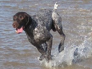 Sterling having fun