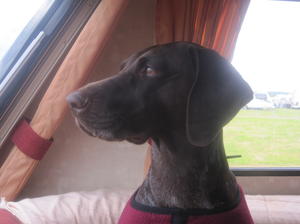 Dotty on her hollibobs