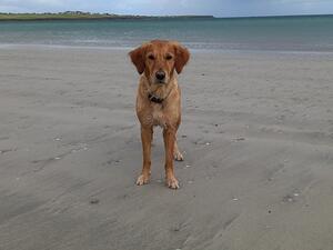 loves the beach