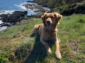 loves coastal walks