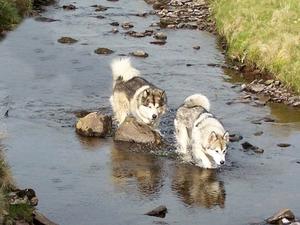 Treking at Brecon Beacons