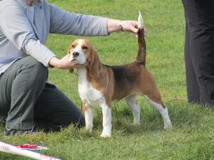 Margo is one of our homebred girls.