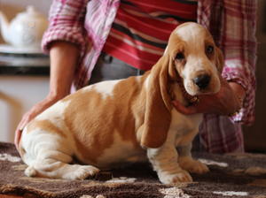 boy 8 weeks