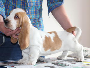 boy 8 weeks