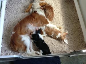 3 wks with Mum