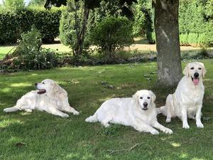 Our Fernwyche Family
