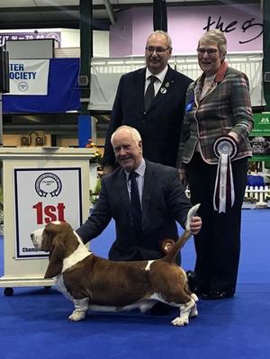 Ch Switherland Smart Image Hound G1 Manchester 201