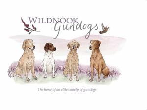 Wildnook Gundogs