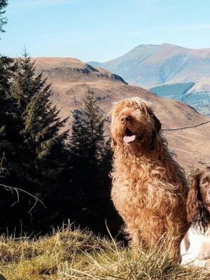 Mum, Ada, enjoying a day out in the lakes