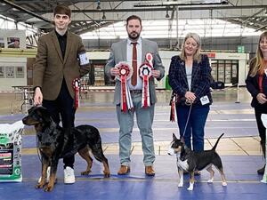 Mabel Best In Show
