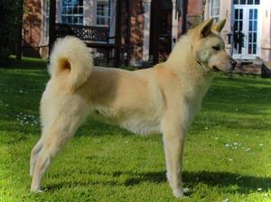 Puzzle at 2 yrs