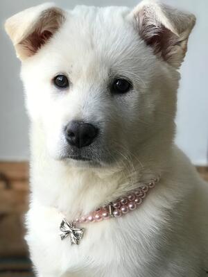 Angel at 3 months old