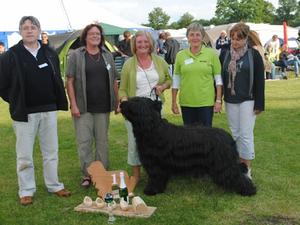 Forte Winning Best in Show, Holland