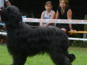 Forte winning the black male CAC