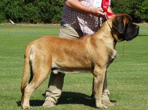 Odin 11 months at OEMC show