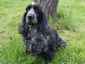 mum Izzy
