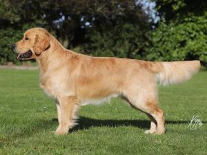 Ayrton 18 months