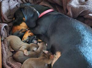 Doris and newborns